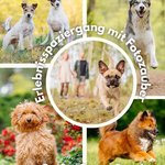 Instagram_Post: DT-7DJPiNN0