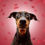 Instagram_Post: DUqJEp7CAUw