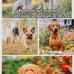 Instagram_Post: DZkQH7HoGzq