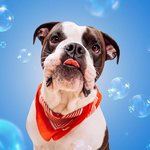 Instagram_Post: DWwjGmxjqy8