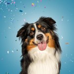 Instagram_Post: DVjVNL4DvA8