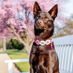 Instagram_Post: DWy9KEpCbVx