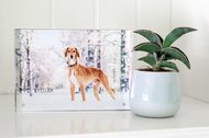 Acrylblock Hundefoto