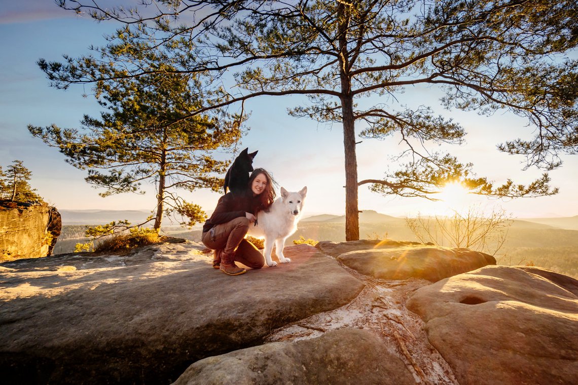 Australian Kelpie und Schweizer Weißer Schäferhund beim Hundefotoshoot in der Sächsischen Schweiz-011.jpg