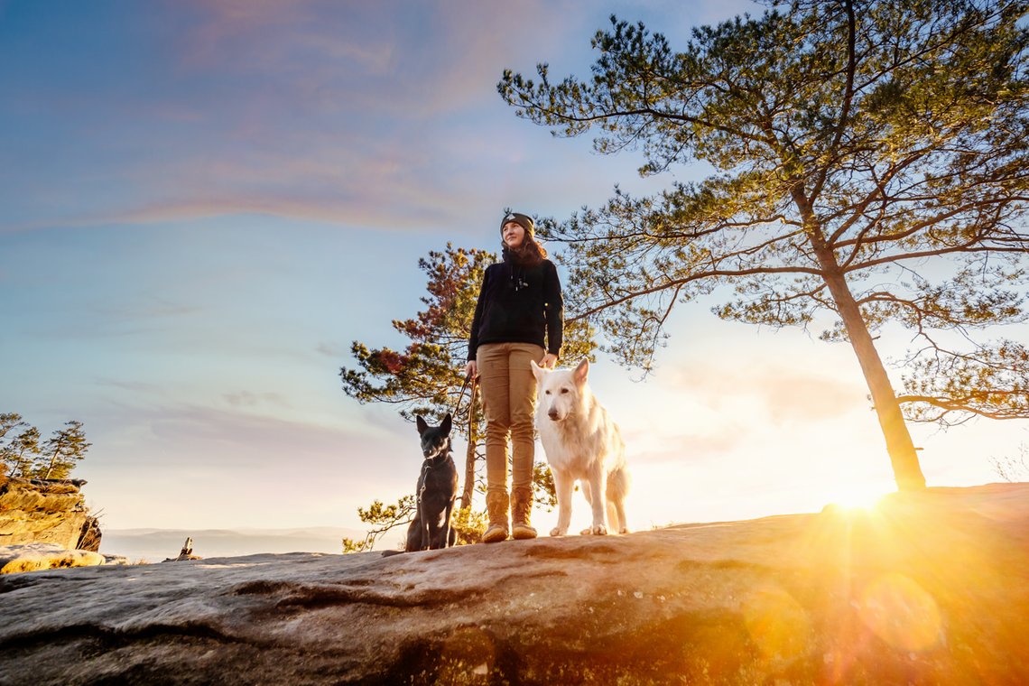 Australian Kelpie und Schweizer Weißer Schäferhund beim Hundefotoshoot in der Sächsischen Schweiz-012.jpg