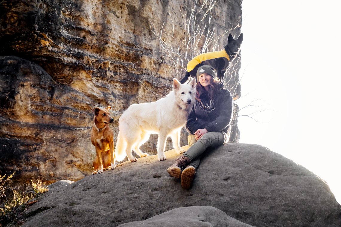 Australian Kelpie und Schweizer Weißer Schäferhund beim Hundefotoshoot in der Sächsischen Schweiz-034.jpg