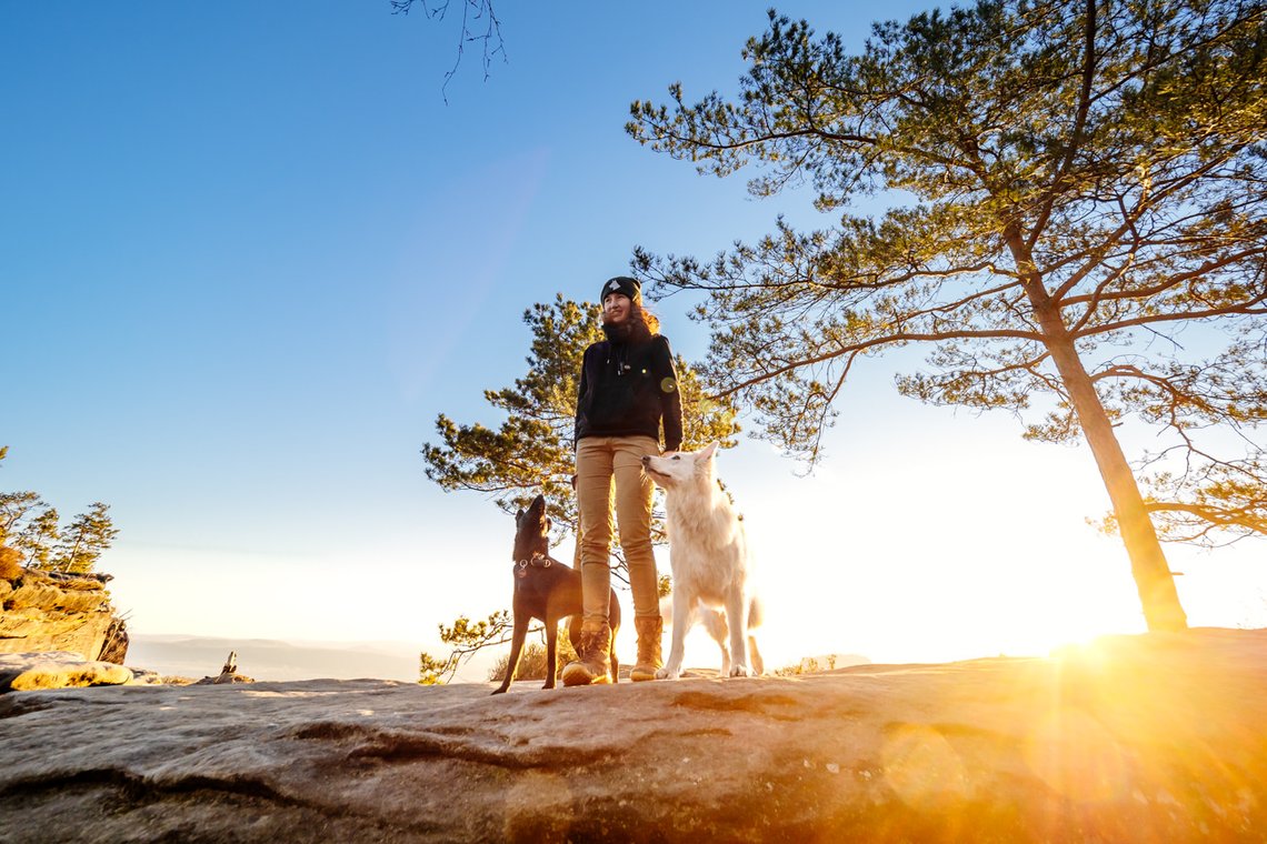 Australian Kelpie und Schweizer Weißer Schäferhund beim Hundefotoshoot in der Sächsischen Schweiz-013.jpg