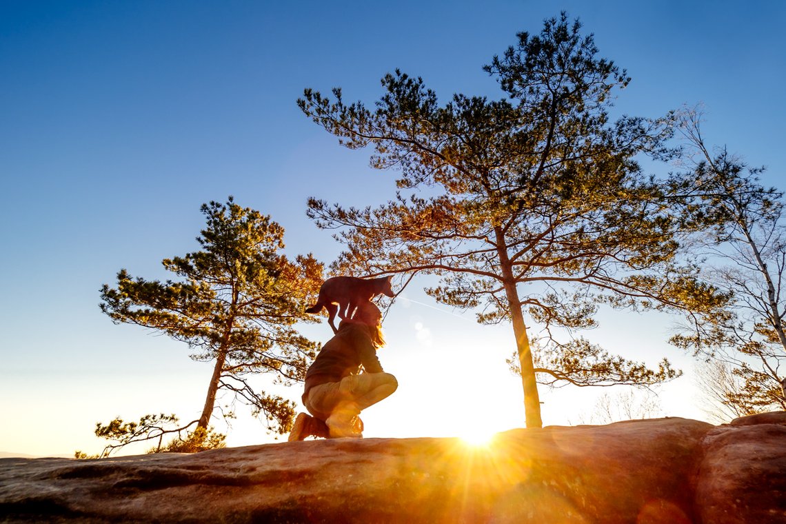 Australian Kelpie und Schweizer Weißer Schäferhund beim Hundefotoshoot in der Sächsischen Schweiz-015.jpg