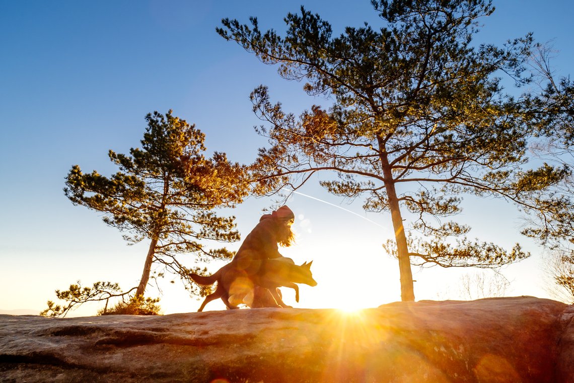Australian Kelpie und Schweizer Weißer Schäferhund beim Hundefotoshoot in der Sächsischen Schweiz-014.jpg