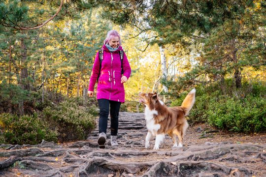 Australian Shepherd und Besitzerin wandern in der Sächsischen Schweiz