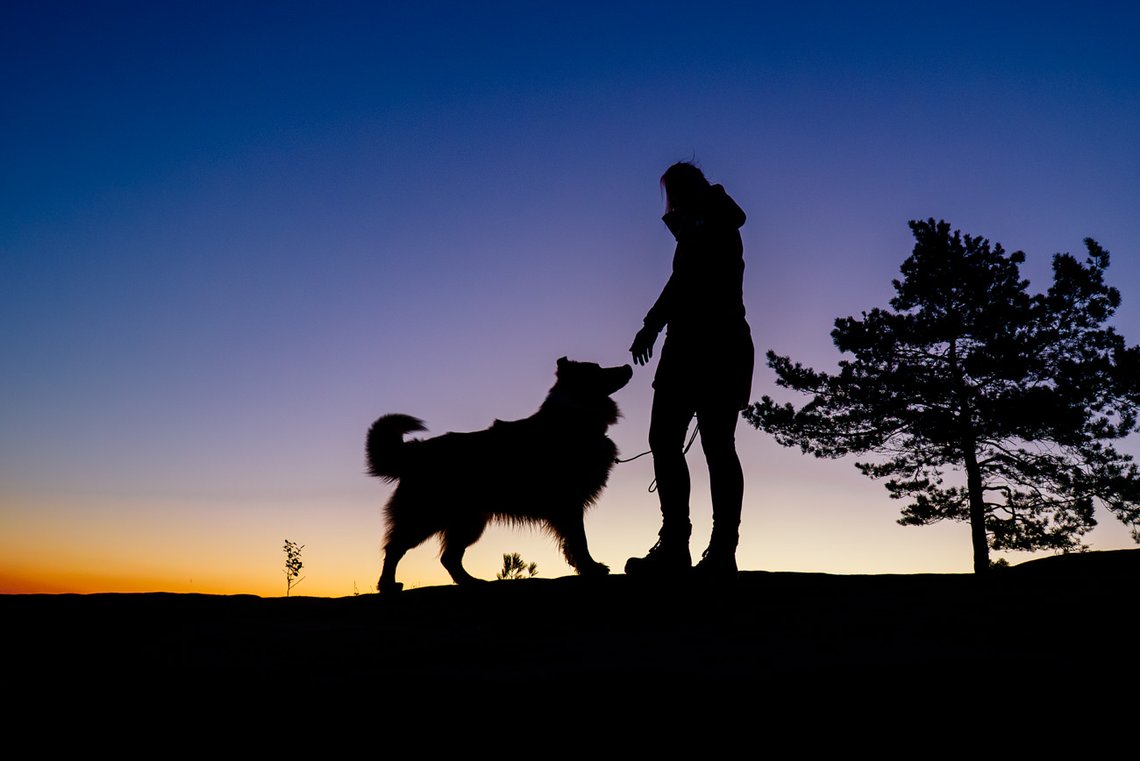 Silhouette von Australian Shepherd und Halterin im Morgengrauen