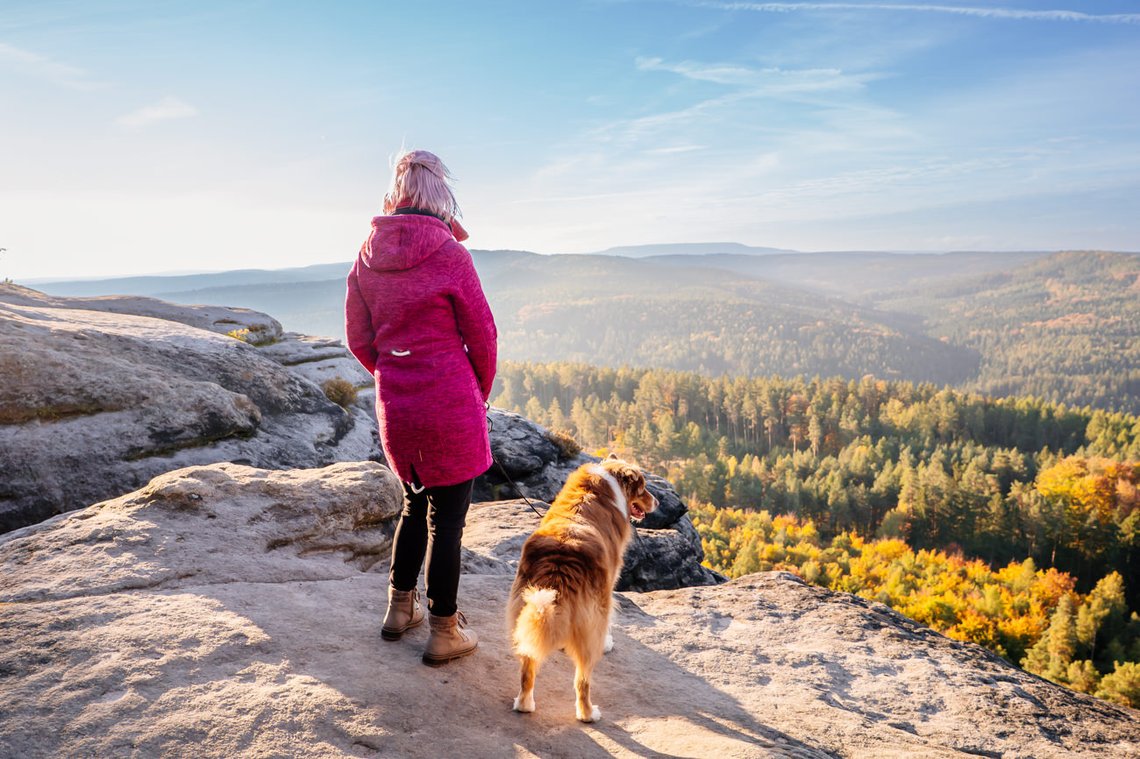 Australian Shepherd in der Sächsischen Schweiz