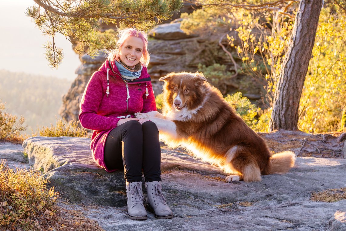 Australian Shepherd gibt Pfötchen