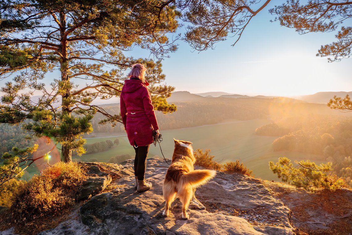 Australian Shepherd und Frauchen blicken im Sonnenaufgang ins Tal