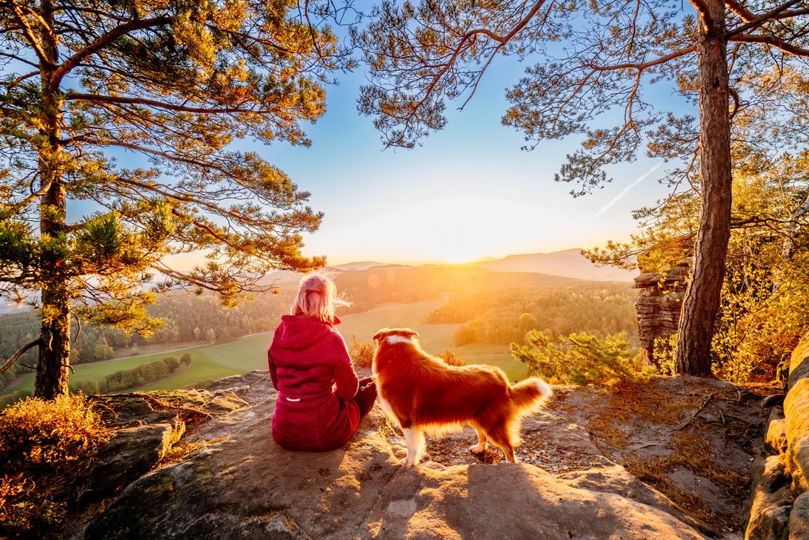 Hund und Frauchen blicken in Sonnenaufgang der Sächsischen Schweiz