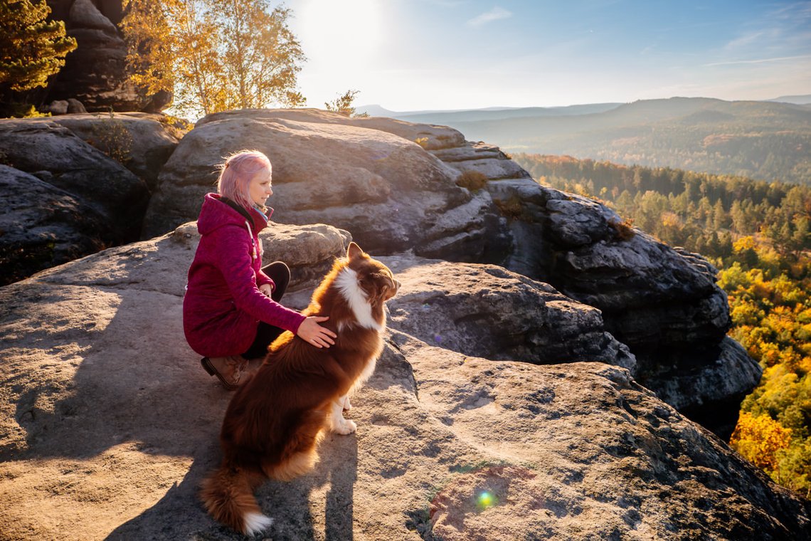 Australian Shepherd in der Sächsischen Schweiz