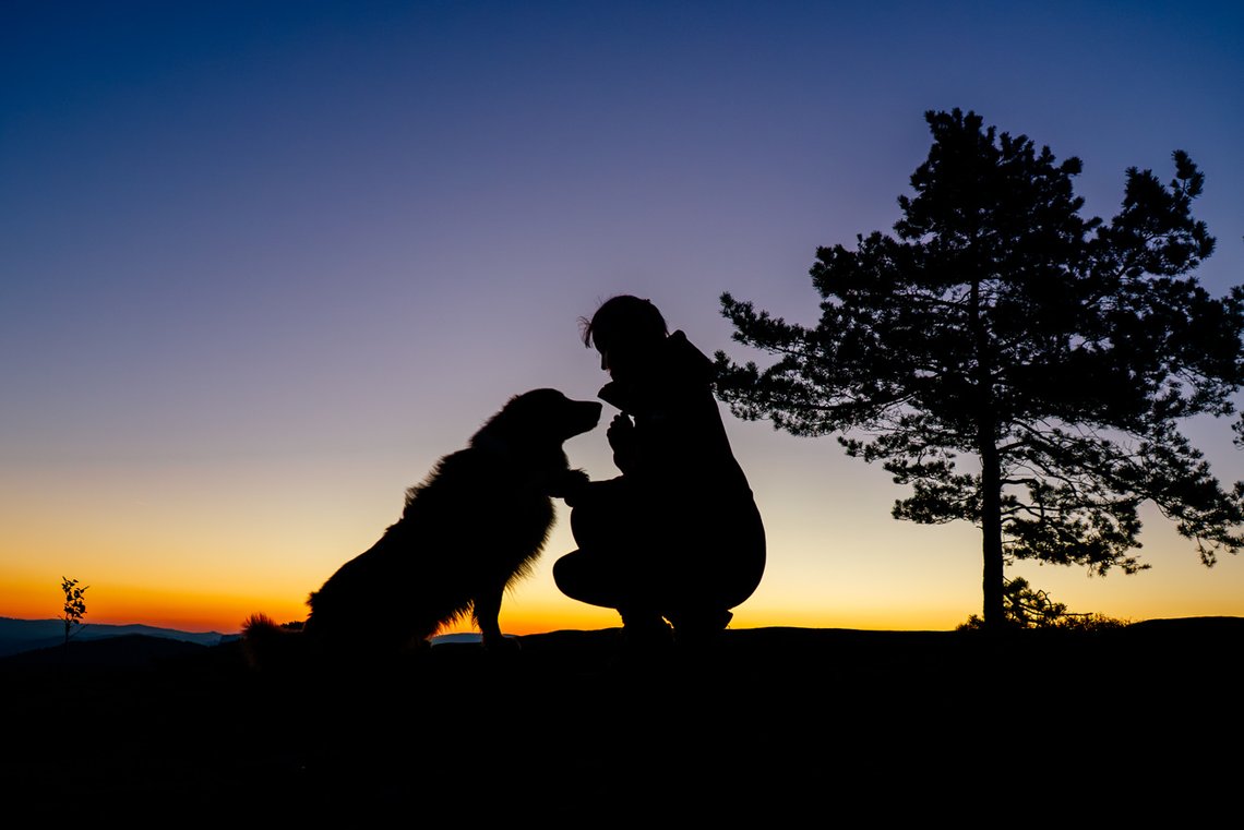 Silhouette von Australian Shepherd und Halterin im Morgengrauen