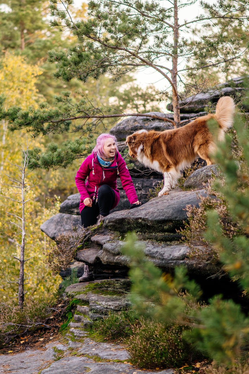 Klettern beim Hundefotoshoot