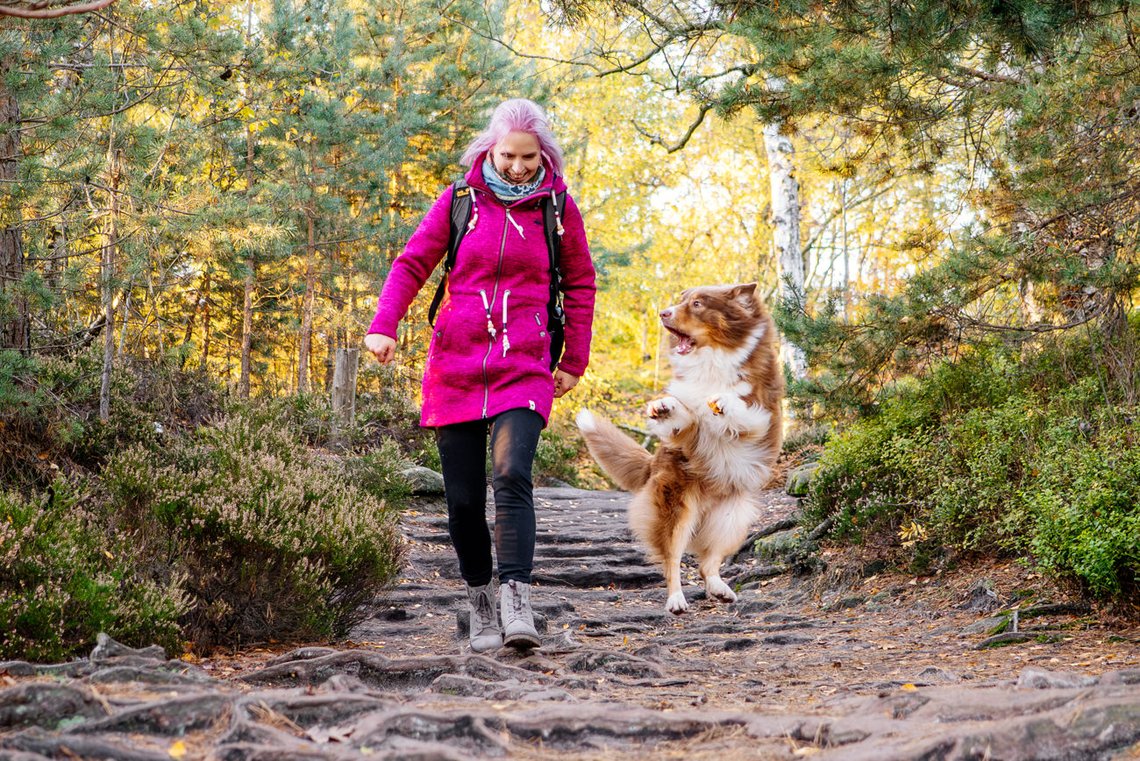 Australian Shepherd und Besitzerin laufen in der Sächsischen Schweiz