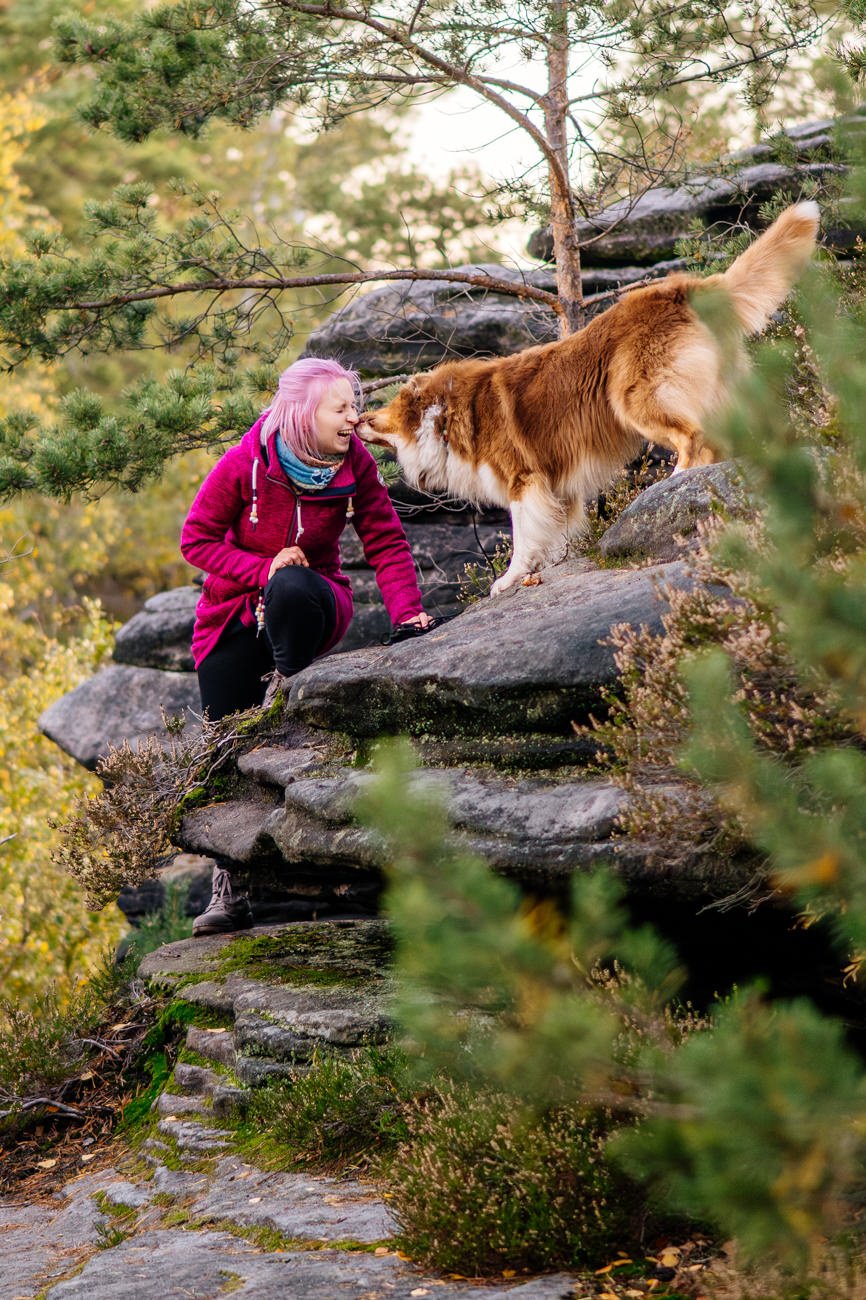 Klettern beim Hundefotoshoot