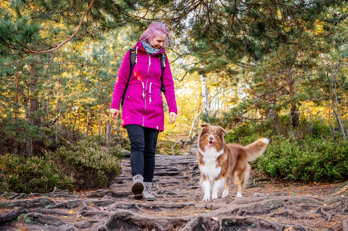 Australian Shepherd und Besitzerin wandern in der Sächsischen Schweiz