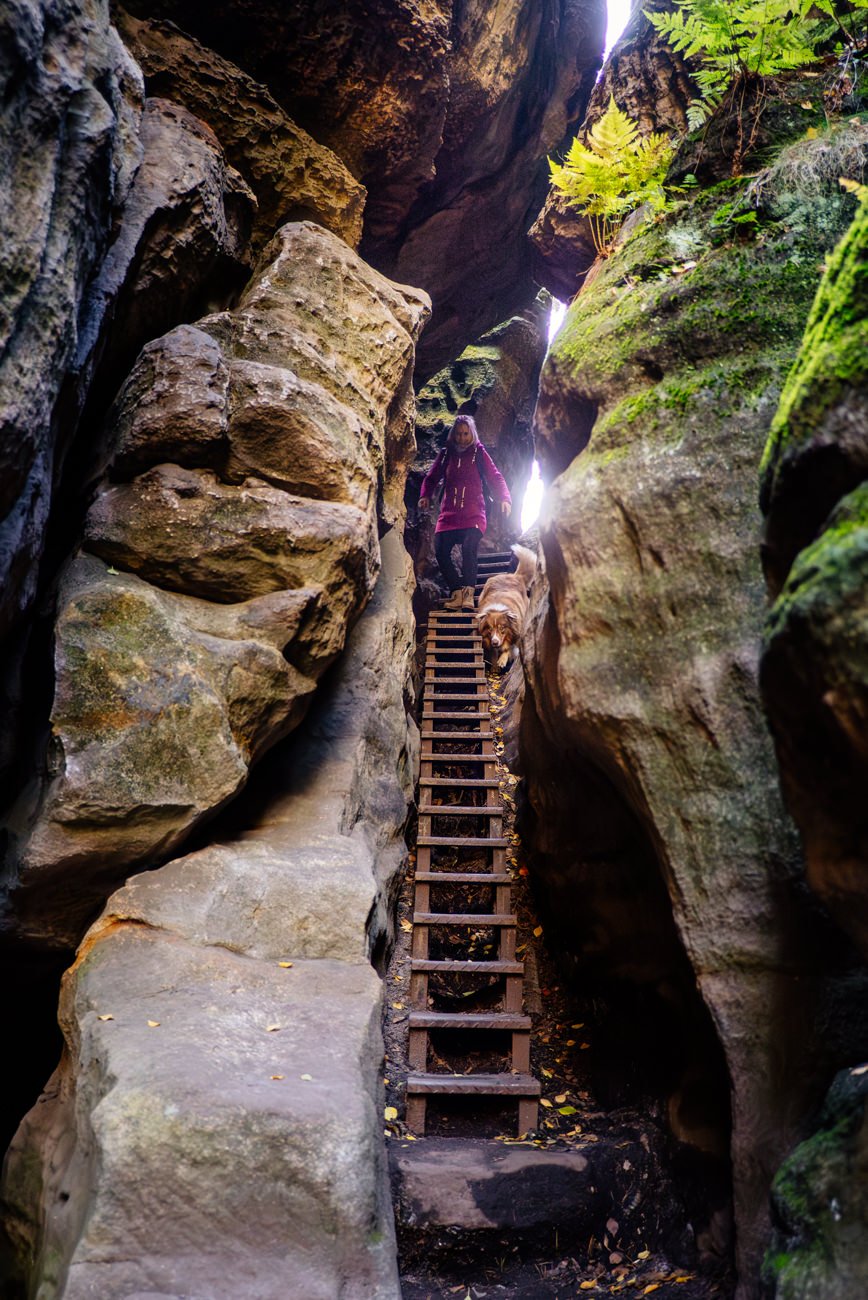 Wanderimpression mit Hund