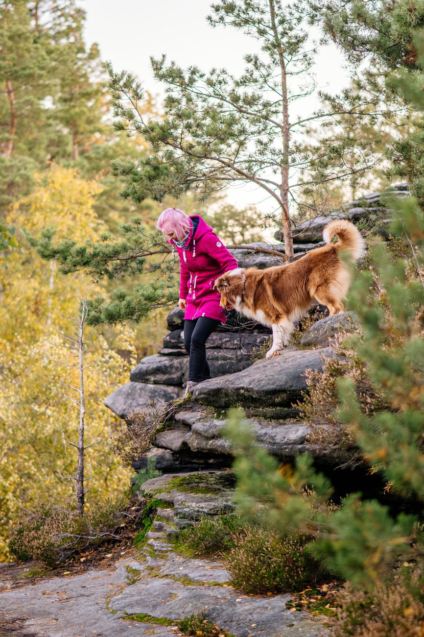 Klettern beim Hundefotoshoot