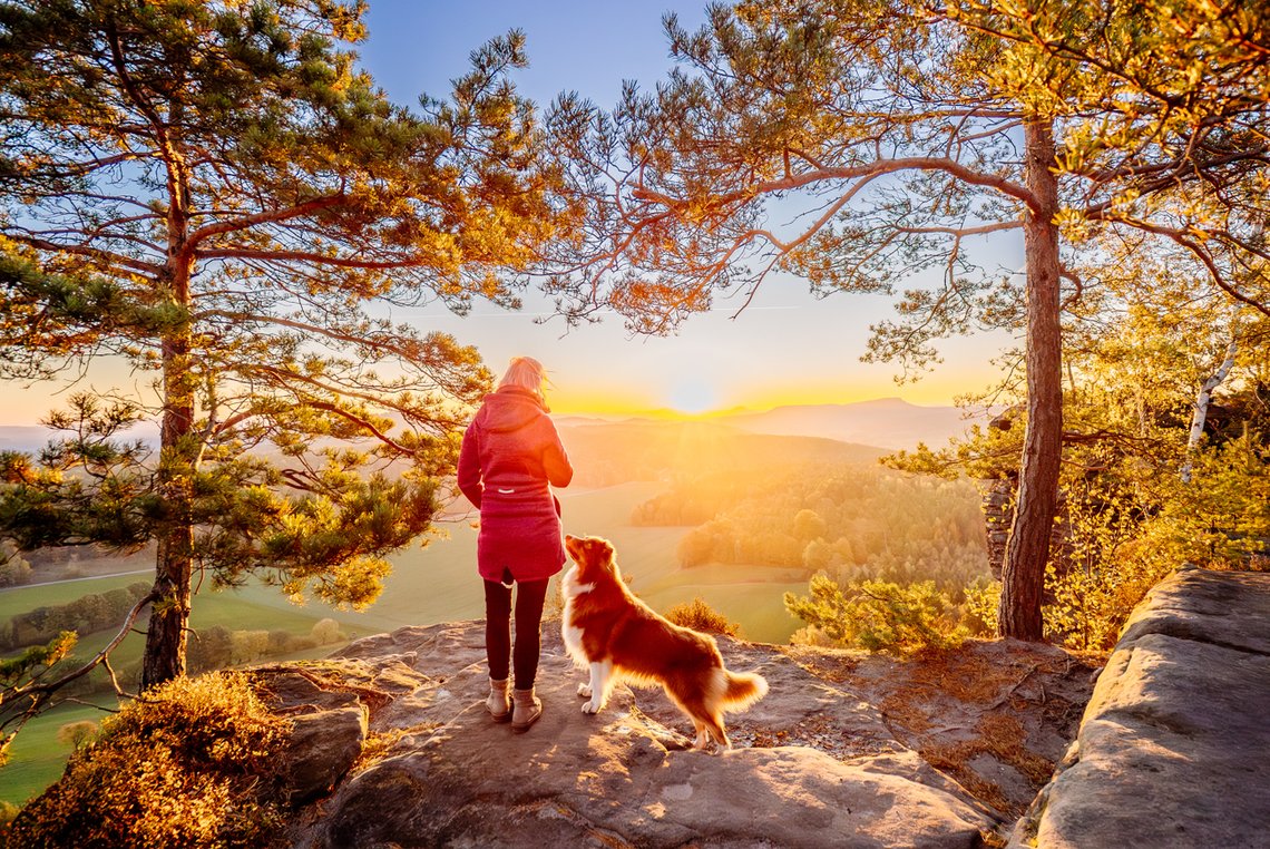 Hund und Mensch in der Sächsischen Schweiz bei Sonnenaufgang