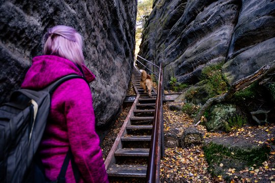 Wander Impression mit Hund
