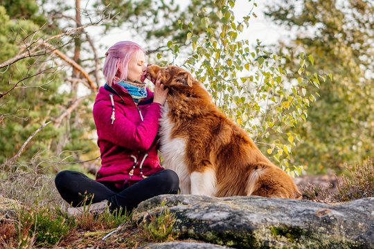Australian Shepherd gibt Frauchen Kuss