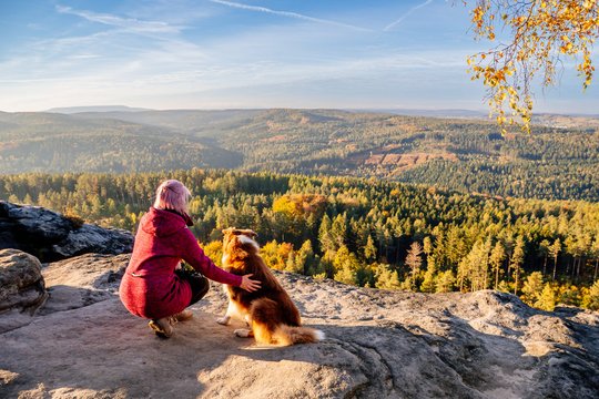 Australian Shepherd in der Sächsischen Schweiz