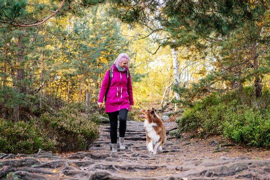 Australian Shepherd und Besitzerin wandern in der Sächsischen Schweiz