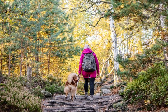 Australian Shepherd und Besitzerin wandern in der Sächsischen Schweiz