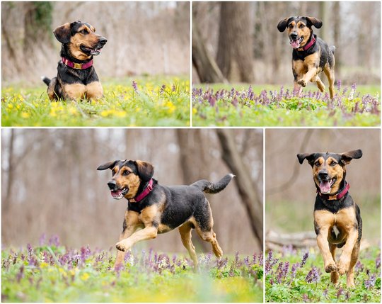 Becks Frühling-0001.jpg