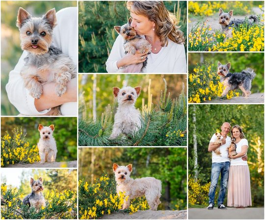 Daisy und Gucci-2.jpg