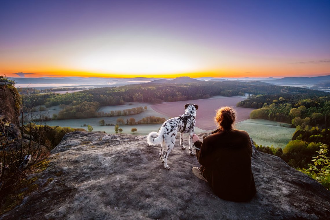 Dalmatiner und Frauchen blicken auf den Horizont in der Morgendämmerung im Elbsandsteingebirge