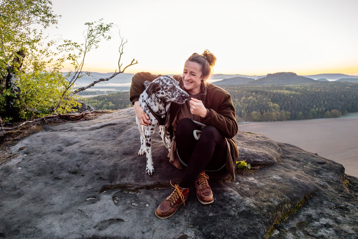 Dalmatiner und Frauchen in der Morgendämmerung im Elbsandsteingebirge