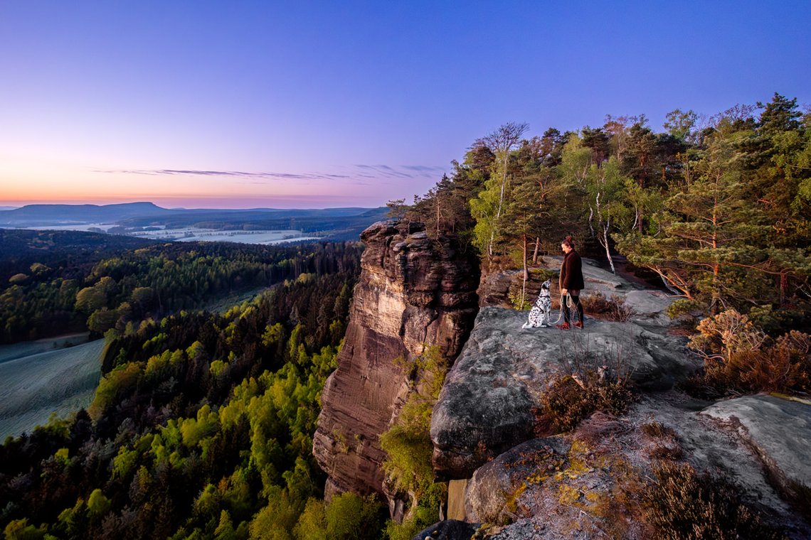 Dalmatiner und Frauchen in der Morgendämmerung im Elbsandsteingebirge