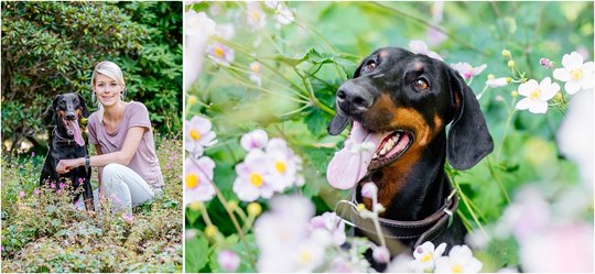 Hundefotos von Dobermann in Dresden Hundeportrait mit Frauchen