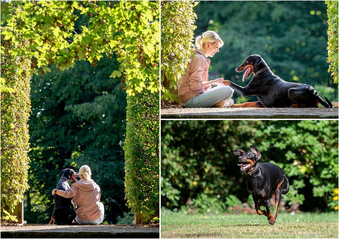 Hundefotos in Dresden von Dobermann mit Hundebesitzer