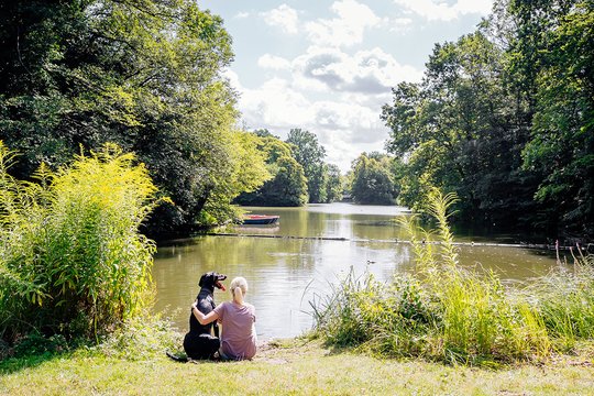 Dobermann Hündin mit Besitzerin bei Regenbogenfotoshooting in Sachsen
