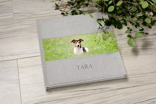 Fotoalbum mit Leinen und Jack Russel Terrier