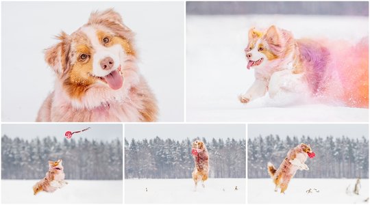 Holly und Cody Kunterbunt-71.jpg