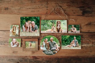 Holz Wandgalerie mit Hundefotos von Aussies