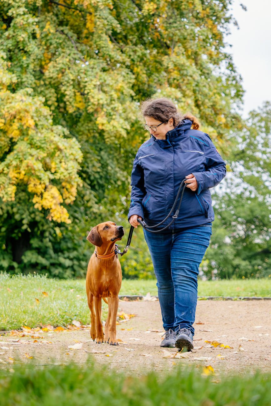 Rhodesian Ridgeback und Frauchen