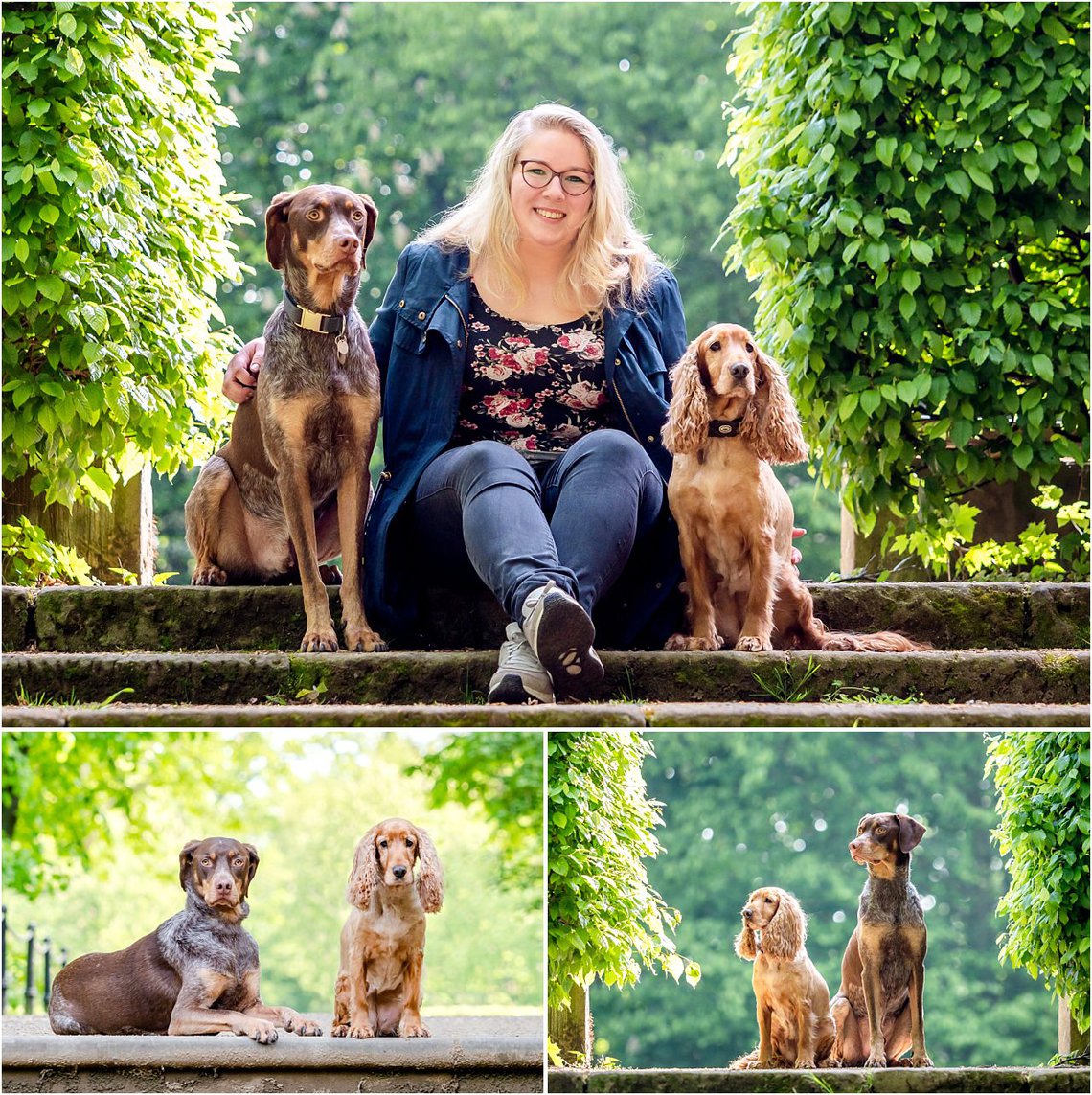 Hundefotos von Cocker Spaniel Hündin und Deutsch Kurzhaar Rüden mit Frauchen in Sachsen