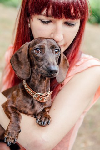 Dackel mit Frauchen Portrait Hundefotografie Dresden