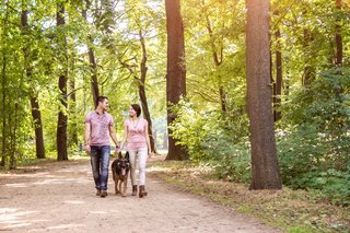 Hund und Halter spazieren durch den Park