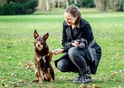 Hundefotografin Maria Junge Dresden