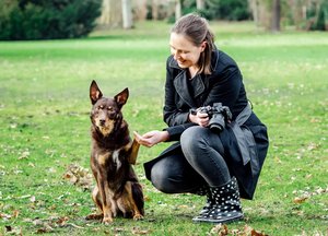 Hundefotografin Maria Junge Dresden